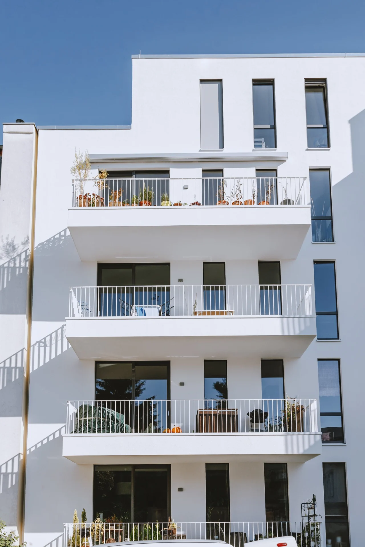 Magdeburg · Stadtfeld – Eine Ecke mit Charakter, Projektansicht 2